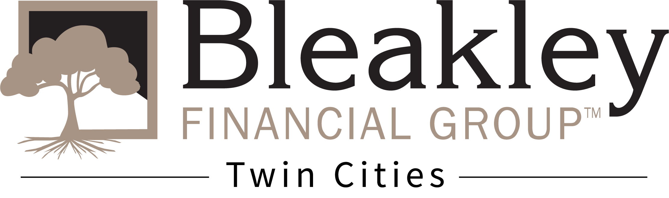 BleakleyLogo_Twin Cities